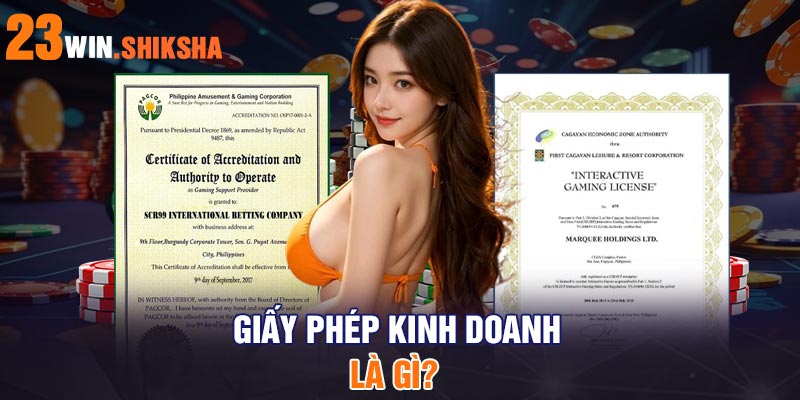 Giấy phép kinh doanh là gì?