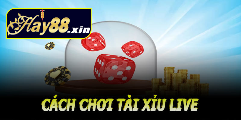 Hướng dẫn cách chơi tài xỉu live tại Hay88